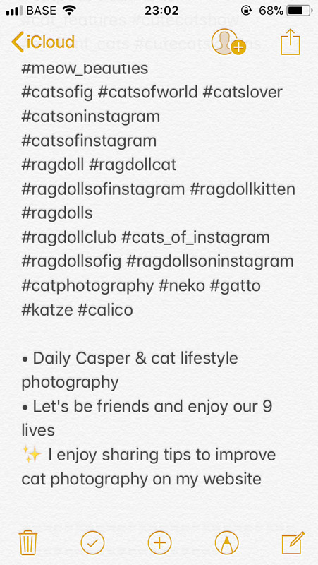 example of use of notes 5-important-things-write-Instagram-bio-cat