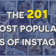 201-most-popular-cats-accounts-instagram here is a list of how to make your cat famous online