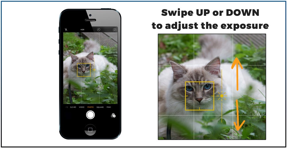 7 best Iphone features you need to know to make great cat pictures-swipe on screen to adjust the exposure after tap focus