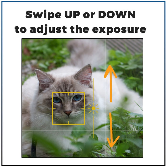 Casper on iPhone feature swipe to adjust exposure 7 best Iphone features you need to know to make great cat pictures-swipe3