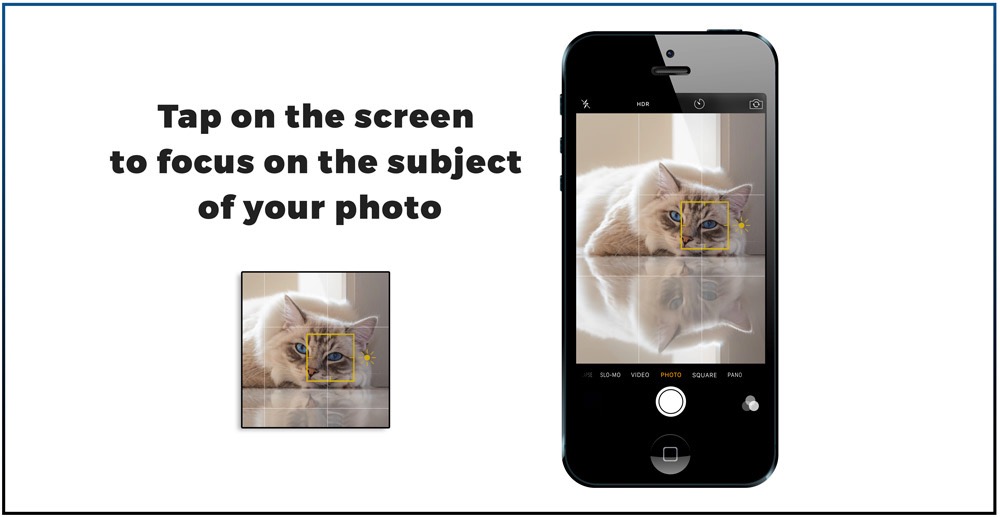 Tap on iPhone screen to focus on a spot in the picture 7 best Iphone features you need to know to make great cat pictures-tap3