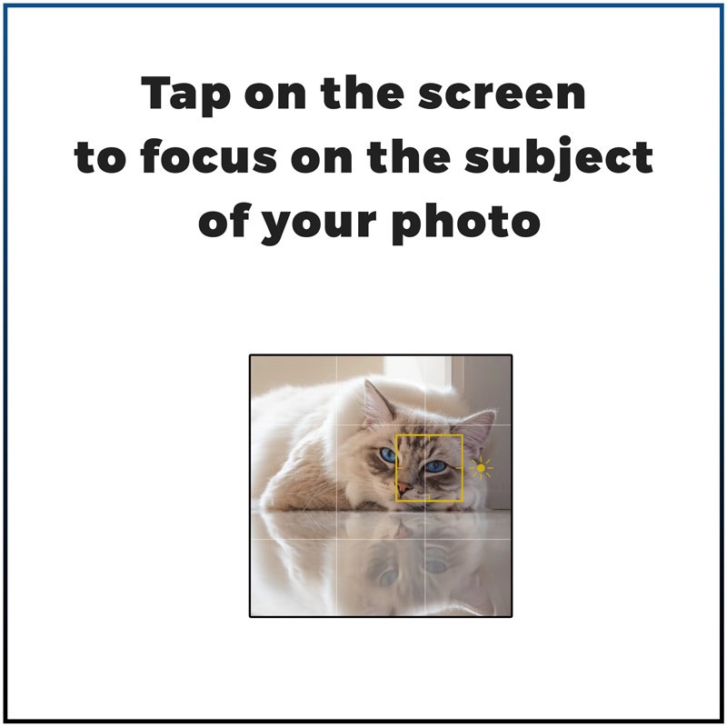 Tap on iPhone screen to focus on a spot in the picture 7 best Iphone features you need to know to make great cat pictures-tap3
