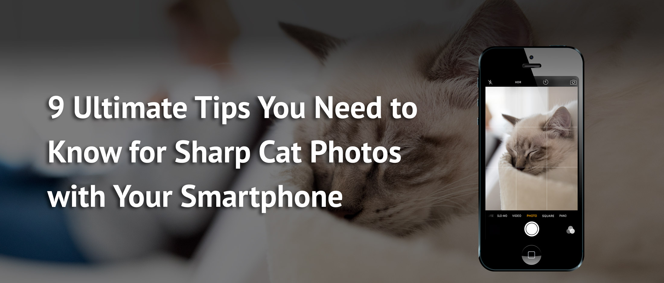 the best and ultimate tips for taking sharp pictures with your smartphone or iPhone